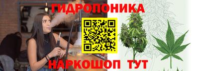 гашиш Новозыбков