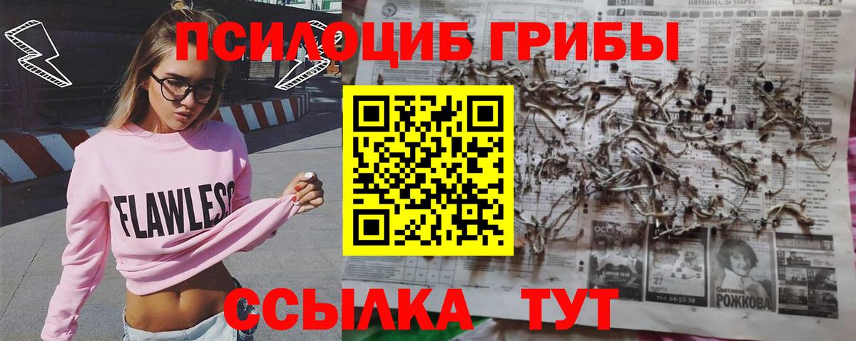 Псилоцибиновые грибы GOLDEN TEACHER  Вход с VPN  как найти закладки  Чебоксары  Псилоцибиновые грибы Magic Shrooms 